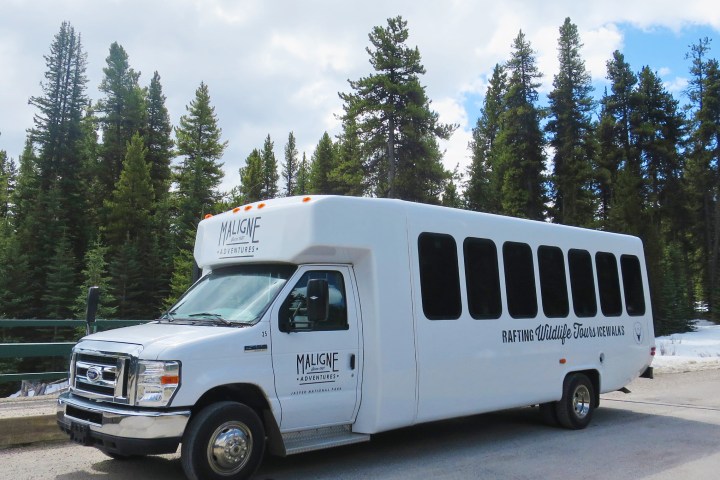 a truck is parked in front of a forest