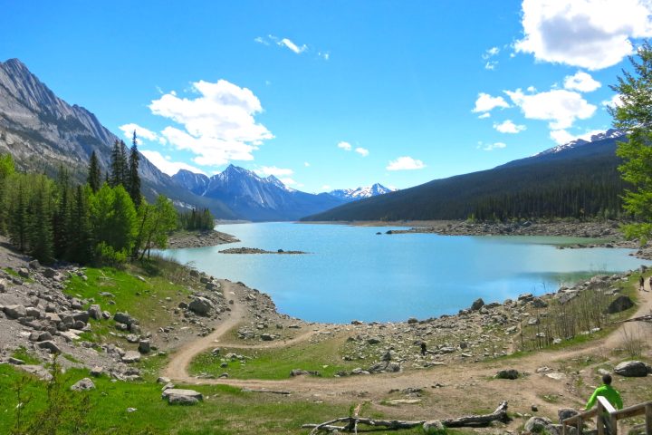 a close up of a hillside next to a body of water