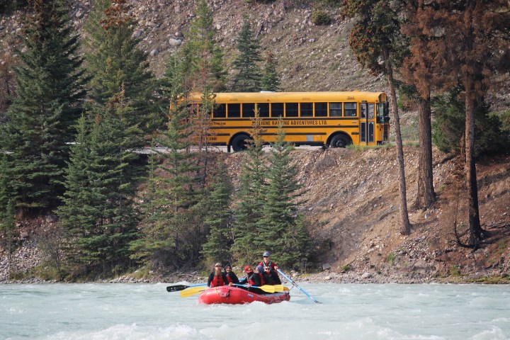 People rafting on a river with a yellow bus on a road by trees in the background.