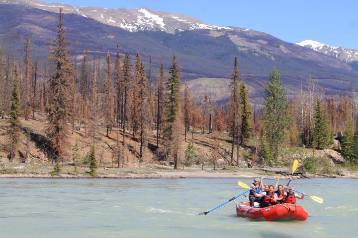 Group rafting on river with pine forest and snowy mountains in background.