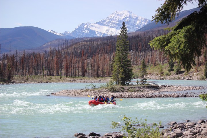 Red raft on a turquoise river with mountains and pine trees in the background.