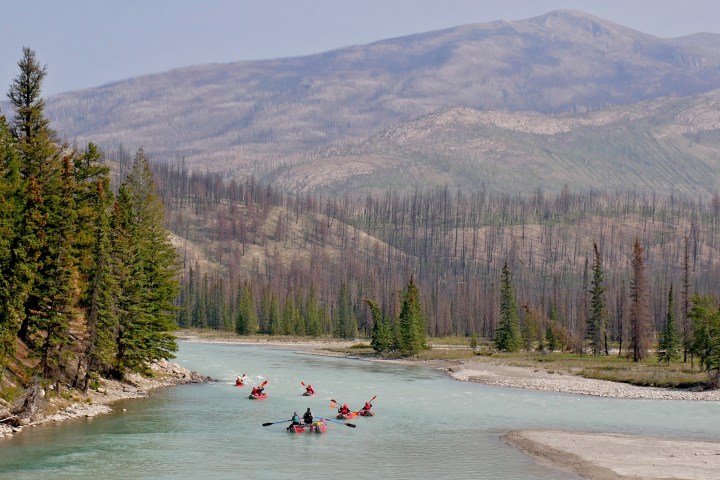Group of kayakers on a river surrounded by forested mountains.