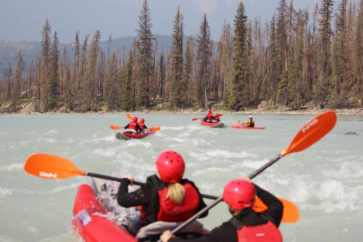 Groups of people kayaking on a river with trees in the background.