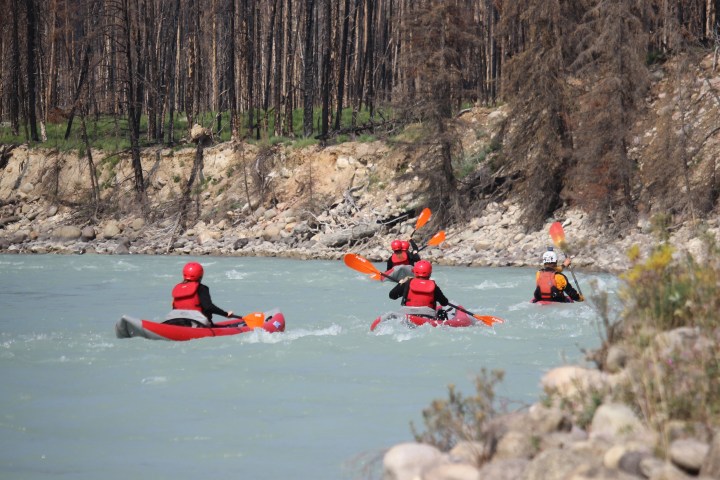 Group of kayakers paddling on a river near a rocky, forested shoreline.
