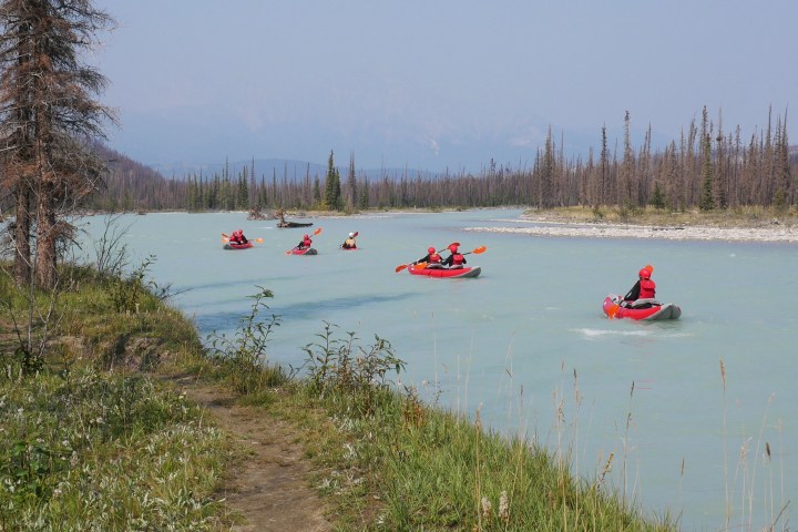 People in red kayaks paddle down a calm river surrounded by trees and a grassy bank.