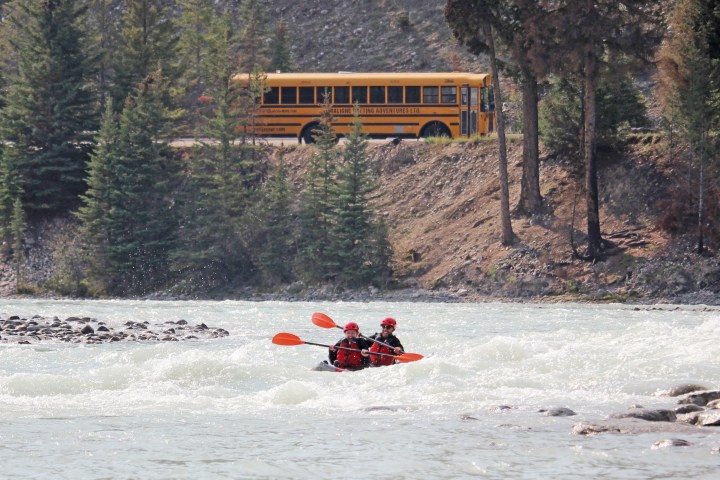 Two people kayaking in a river with a yellow bus and trees in the background.