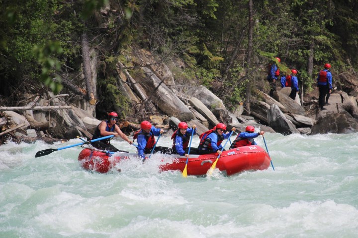 A group of people white-water rafting in a river surrounded by trees.