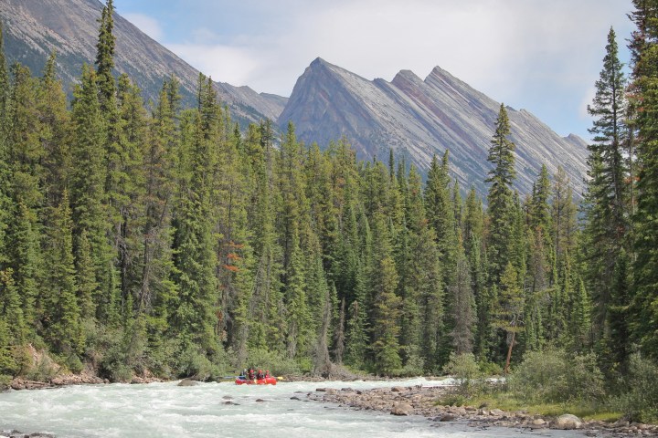 Raft on a river surrounded by pine trees with mountains in the background.